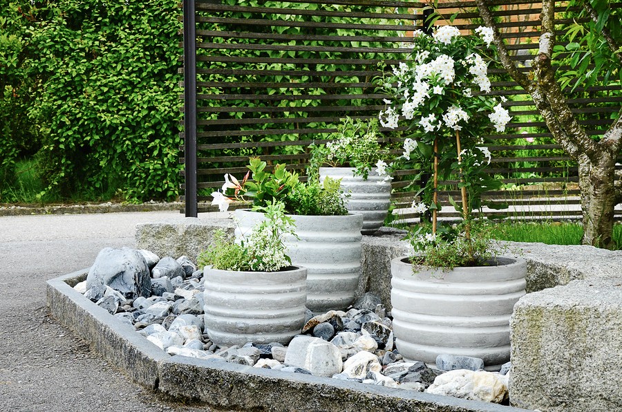 Stone Garden Arrangement At House Entrance With Green And White Plants And Concrete Plant Pots